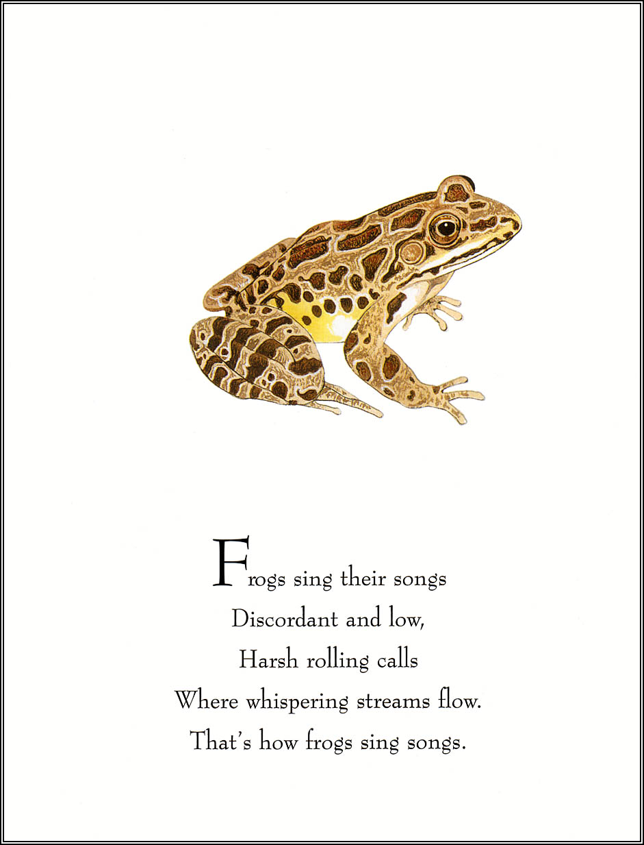 Frogs Sing Songs (08),绘本,绘本故事,绘本阅读,故事书,童书,图画书,课外阅读
